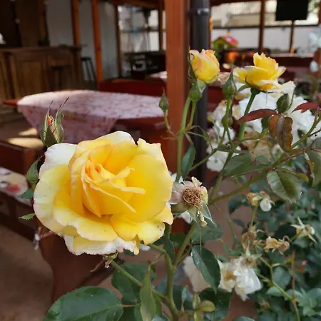 Hotel Ryor Hotel - Restaurant & Free Parking